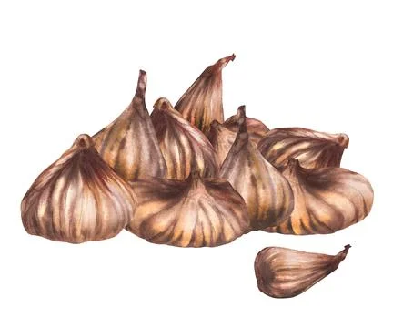 Handful of dried fruit fig. Dry fruits. Food plant clipart. Hand drawn Stock Illustration