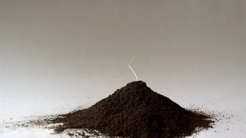 Handful of earth Stock Footage 73632149