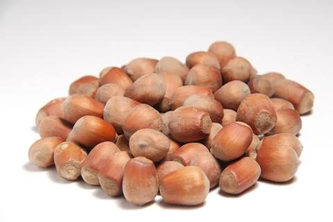 A handful of hazelnut on a white background Stock Photos