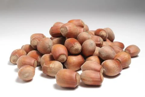 A handful of hazelnut on a white background Stock Photos