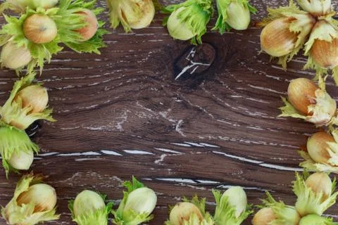 The handful of hazelnuts Stock Photos