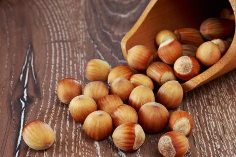 The handful of hazelnuts Stockfoto's