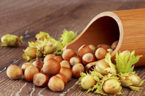 The handful of hazelnuts Stock Photos