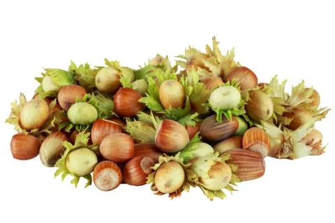 Handful of hazelnuts Stock Photos