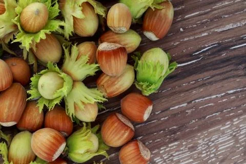 The handful of hazelnuts Stock Photos