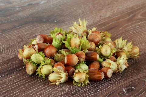 The handful of hazelnuts Stock Photos