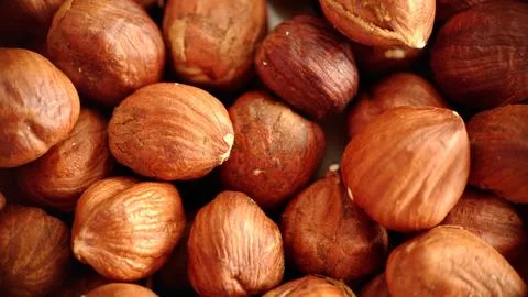 A handful of large hazelnuts close-up selective focus Стоковые фото