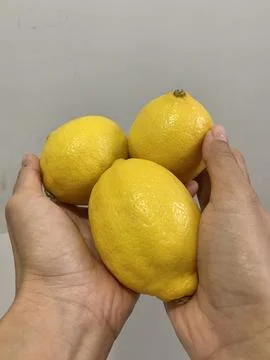 A handful of lemons in white background Stock Photos
