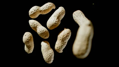 Handful of peanuts in shells flies up and falls on a black background. Top view Stock Footage 149157617
