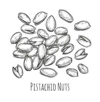 Handful of pistachio nuts. Stock Illustration