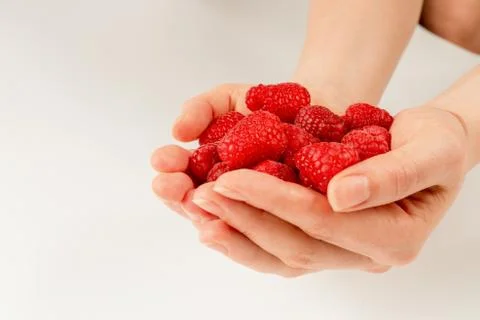 Handful of ripe red forest raspberry in the girl's hands Stock Photos