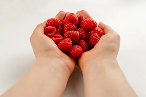 Handful of ripe red forest raspberry in the girl's hands on a white background Stock Photos