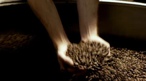 Handful of roasted coffee beans Stock Footage 26319154