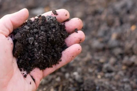 Handful of soil Stock Photos