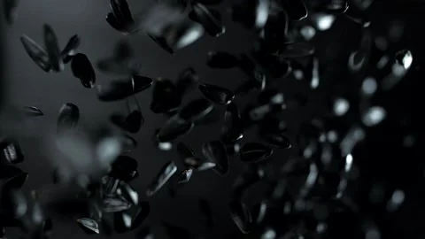 A handful of sunflower seeds in a black shell fly in super slow motion. Macro. Video stock 152868942