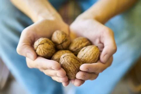 Handful of walnuts Stock Photos