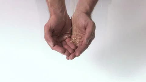 Handful of wheat Stock Footage 11611461