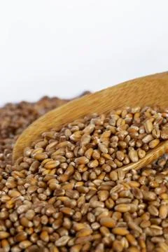 Handful of wheat Stockfoto's