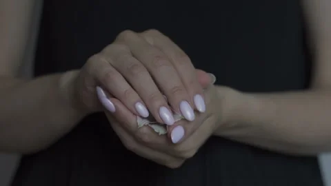 A handful of white alstroemerias Stock Footage 202203676
