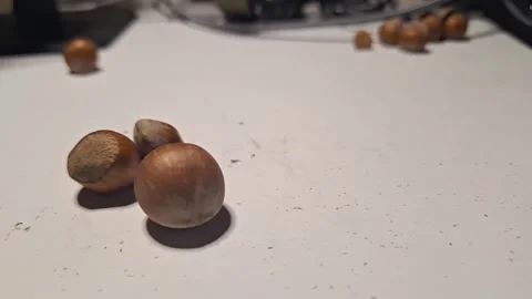 A handful of whole hazelnuts on a table Stock Footage 329748568