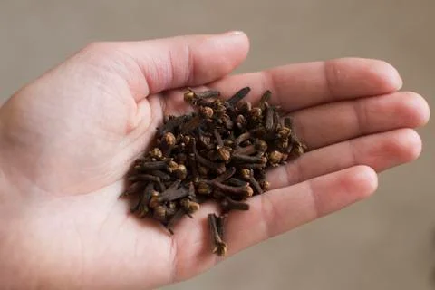 Handfull of cloves Stock Photos