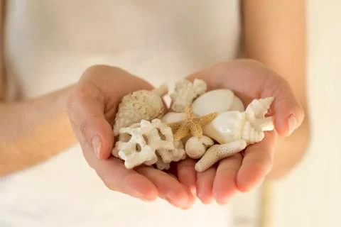 Handfull of white shells and corals Stock Photos