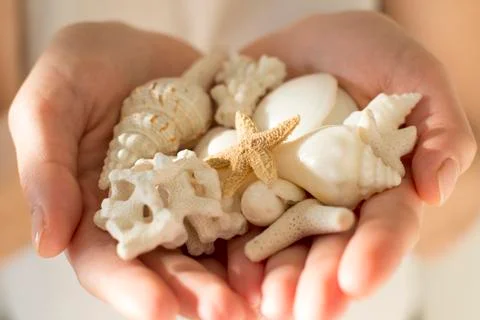 Handfull of white shells and corals Stock Photos