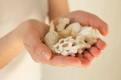 Handfull of white shells and corals Foto stock