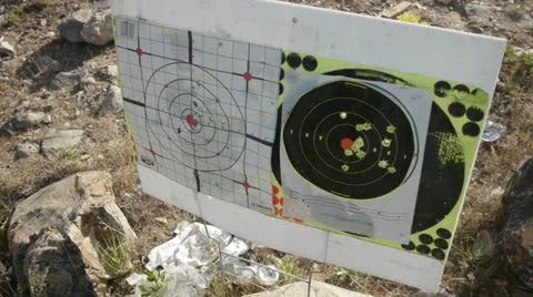 Handgun target Stock-Footage 24436446