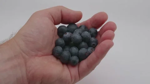 Handheld blueberries Stock Footage 279933856