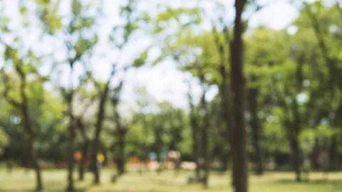 Handheld: Blurred park scenery, visible trees and grass field Stock Footage 90377380
