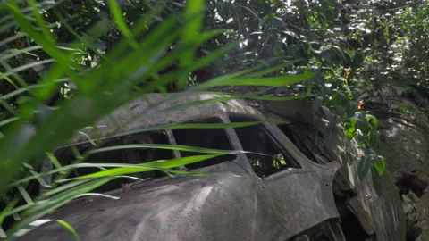 Handheld Camera Around Cockpit of Abandoned Jungle Plane Wreck Stock Footage 314921381