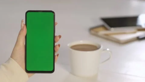 Handheld Camera: Back View of Brunette woman Holding Chroma Key Green Screen Stock Footage 166886566