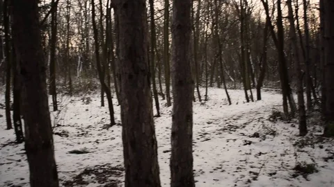 Handheld camera during a walk in the woods. Stock Footage 125916927