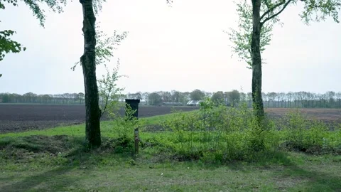 Handheld camera movement revealing a hunter's high seat in a rural landscape Видео 336594524