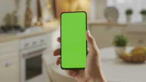 Handheld Camera: Point of View of Blond Man Holding Chroma Key Green Screen Stock Footage 171139533