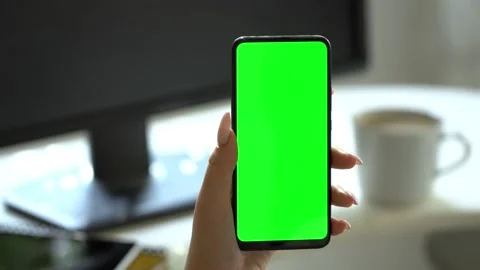 Handheld Camera: Point of View of businesswoman at home Using Phone With Green Stock Footage 141840407