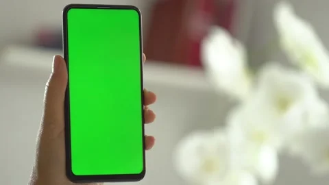 Handheld Camera: Point of View of Woman at Room Sitting on a Chair Using Phone Video stock 138846895