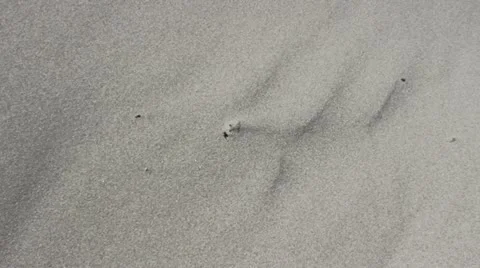 Handheld Camera on Sandy Beach, Sand Dune 스톡 동영상 12372850