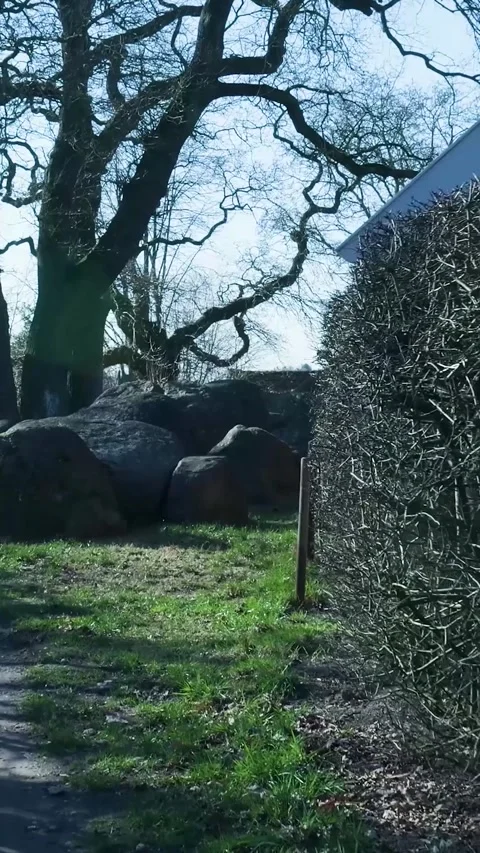 Handheld camera walking toward an ancient megalithic dolmen tomb Stock Footage 334421131