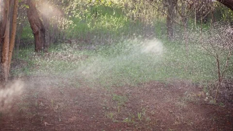 Handheld cinematic shot of an automatic sprinkler operation Stock Footage 179350897