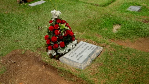 Handheld close-up shot of a famous grave marker with red flower decoration Stock-Footage 336119589