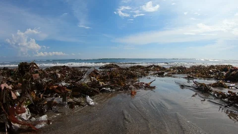 Handheld close up shot of garbage on polluted beach near sea on sunny day, Bali Stock Footage 140288372