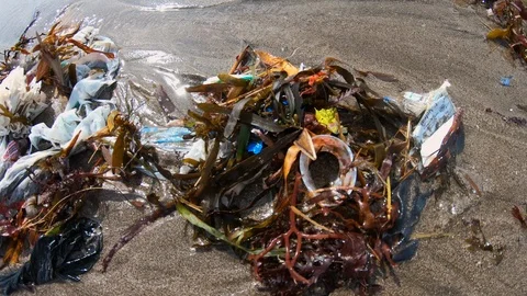 Handheld close up shot of garbage on polluted beach near sea on sunny day, Bali Stock-Footage 140288820