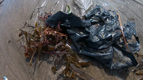 Handheld close up shot of garbage on polluted beach near sea on sunny day, Bali Stock Footage 140289084