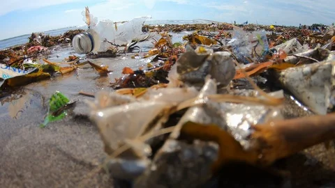 Handheld close up shot of garbage on polluted beach near sea on sunny day, Bali Stock Footage 140289573