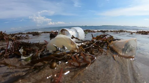 Handheld close up shot of garbage on polluted beach near sea on sunny day, Bali Stock Footage 140289916