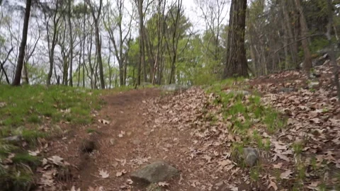HANDHELD UP DIRT HILL Stock Footage 194456266