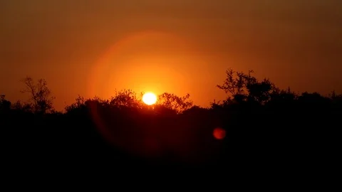 Handheld drive by sunrise Stock Footage 93048949