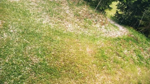 Handheld elevated shot of green grass in meadow during hailstorm Vídeo Stock 120432900